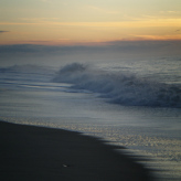 Nordsee 2009 - Wrist