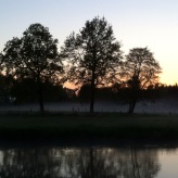 Nebel und Bank