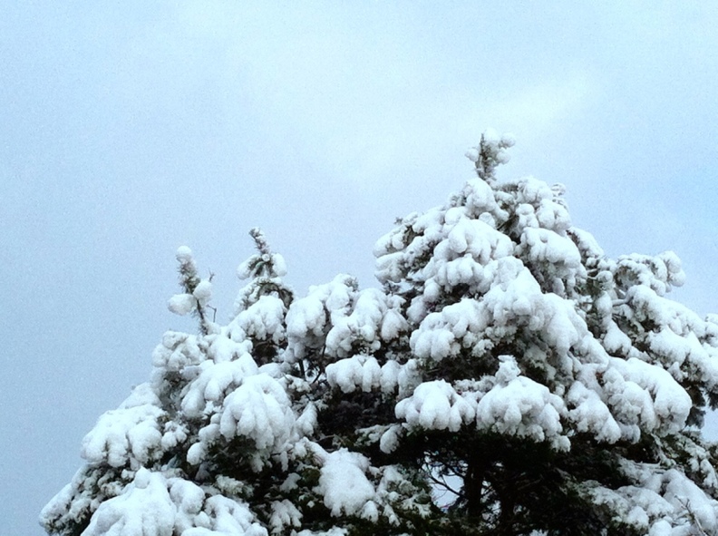 Endlich Winter Endlich Winter