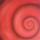 Rote Schnecke III, 60 x 60 cm, Öl auf Leinwand, 2008