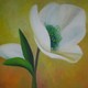 Christrose, 60 x 80 cm, Öl auf Leinwand, 2005