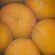 Orangen, 80 x 80 cm, Öl auf Leinwand, 2007 - Verkauft