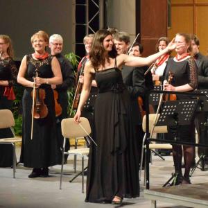 (c) Sinfonisches Orchester Hoyerswerda