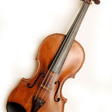 Violine (Geige)
