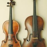 Vergleich: Violine - Viola (Bratsche)