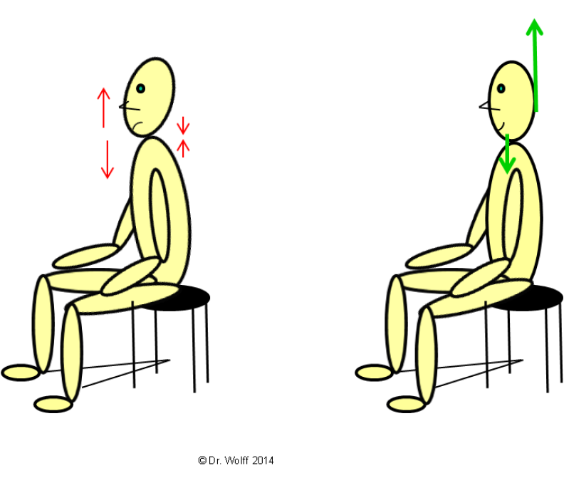 Dr, Wolff - Head and body position 