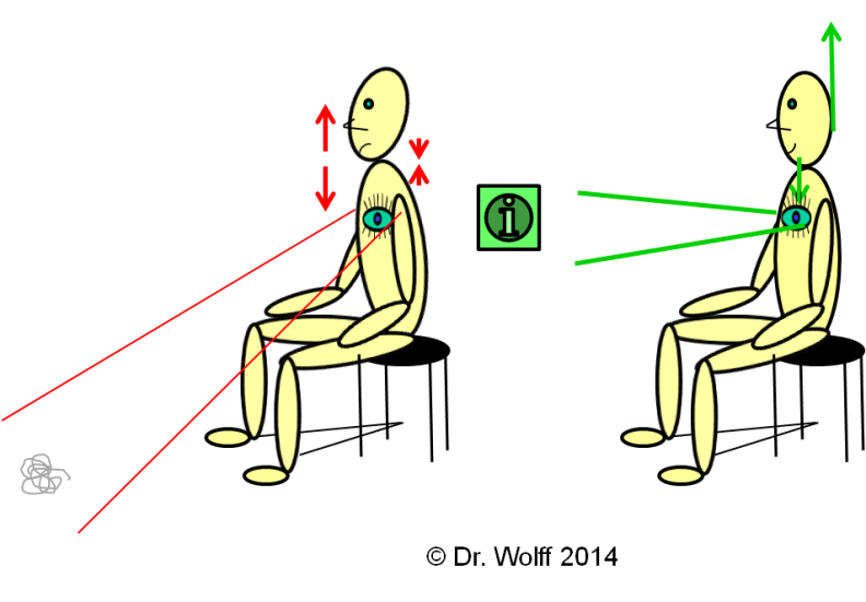 Dr. Wolff - Sitting posture Dr. Wolff - Sitting posture