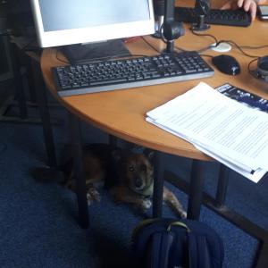 Tinca bei Radio Lotte...