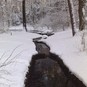 Winterspaziergang im Kurwald Bad Lippspringe 2008