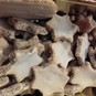 Weihnachtsbäckerei 2013: Zimtsterne