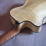 Henning Doderer Archtop