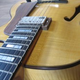 Henning Doderer Archtop