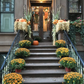 Thanksgiving und Halloween setehn vor der Tür