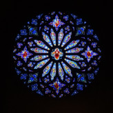 Rosetta in St. John the Divine, Haarlem