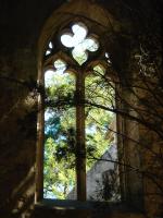 Laudate Dominum Laudate Dominum