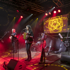 Foto: Jan-Rasmus Lippels