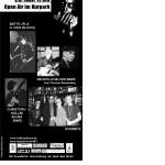 2010 Flyer