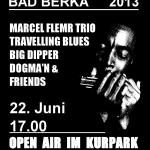 2013 Plakat
