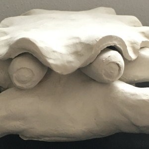 Hand cancer     (2000)      white clay unfired   l   8x33x19 cm