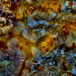 Mystery of Mysteries