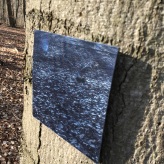  Schlosswald-Ausstellung © CarolaSchaal