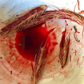 (solange ich Menstruationsblut produziere, arbeite ich damit) © Carola Schaal