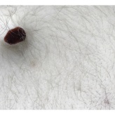 2025-04-21 (solange ich Menstruationsblut produziere, arbeite ich damit) Serie warmer männlicher Körper - techn. Support Richard Stöhr