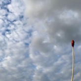 2025-07-18 (solange ich Menstruationsblut produziere, arbeite ich damit) Serie top Berlin 