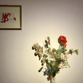 2025-11-10 (solange ich Menstruationsblut produziere, arbeite ich damit) Serie home gallery 36