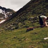 © Screenshot Alexander Schubert