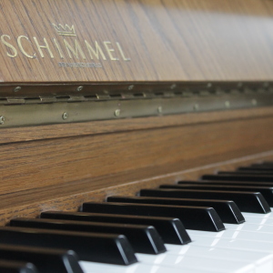 Seit 2020 gibt es im Studio Canto einen echten Schimmel
