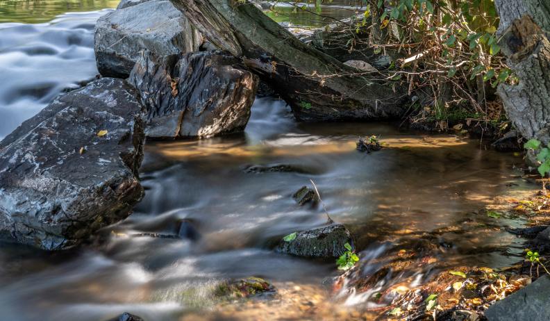 FLIESSEN UND GENIESSEN