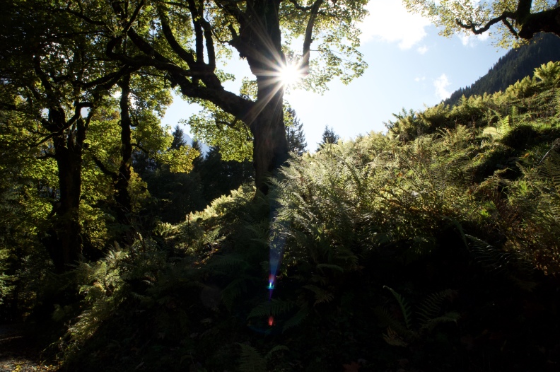 Herbstruf